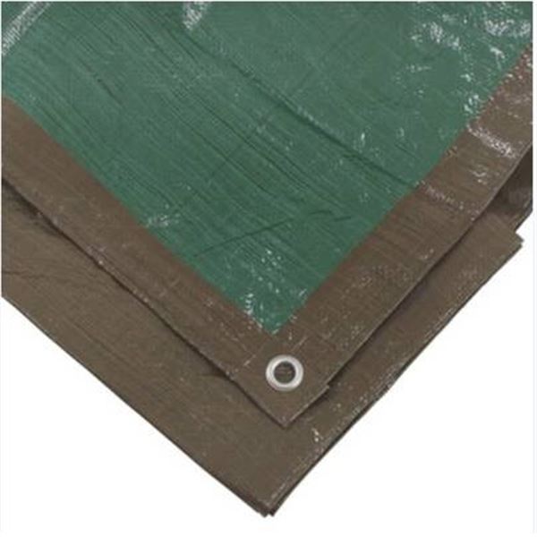 Erickson 10 ft x 12 ft Reversible Poly Tarp, Commercial Grade – Lot of 2 tarps