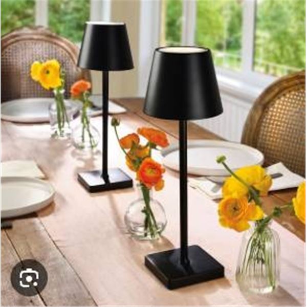Mikasa Set of 2 Touch Control Rechargeable LED Lamps with USB-C Charging