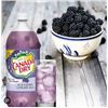 Image 1 : Canada Dry Blackberry Soft Drink, 24 Bottles, 500 mL Each