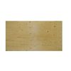 Image 1 : 1 single  Sheet of  West fraser CPS 1/2″ Sheathing Plywood – 8X4′