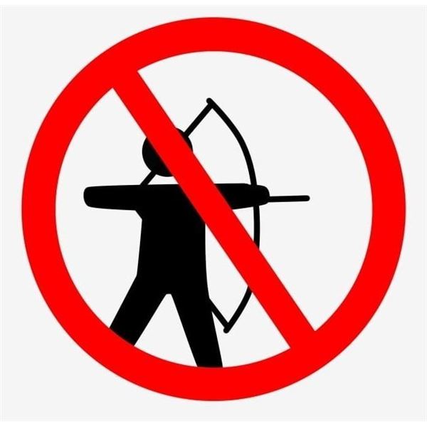 ARCHERY CLEARANCE INFO - GREAT SAVINGS ON BIG LOTS