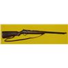 Image 1 : PRE-OWNED - MARLIN 81 22LR FIN Sticker 3642853 24in 17rnd