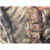 Image 6 : Yukon Gear 2XL Mossy Oak Breakup Country Camo and Dark Brown Winter Coat