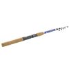 Image 1 : SOUTH BEND PROTON 6ft MED TELESCOPIC 5 SECTION SPINNING ROD