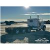 Image 3 : 2009 PETERBILT 389 TRI DRIVE SLEEPER CAB & CHASSIS