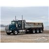 Image 1 : 2009 WESTERN STAR 4900 TRI/A DUMP TRUCK