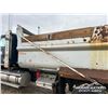 Image 66 : 2009 WESTERN STAR 4900 TRI/A DUMP TRUCK