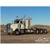 Image 1 : 2014 PETERBILT 367 TRI DRIVE SLEEPER TRUCK TRACTOR