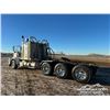 Image 4 : 2014 PETERBILT 367 TRI DRIVE SLEEPER TRUCK TRACTOR