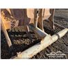 Image 13 : 12.5 FT CRAWLER TRACTOR BRUSH RAKE