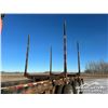 Image 36 : 2014 TIMMINS DDL50-3A60 TRI/A LOG TRAILER