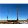 Image 38 : 2014 TIMMINS DDL50-3A60 TRI/A LOG TRAILER