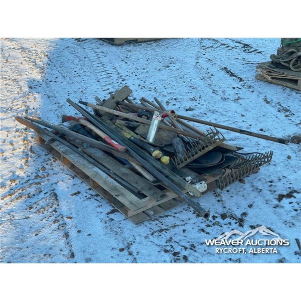 ASSORTED GARDEN/SHOP TOOLS