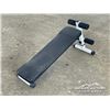 Image 4 : SIT-UP BENCH