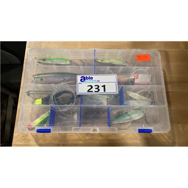 FLAMBEAU CLEAR PLASTIC SORTING CASE WITH ASSORTED NEW FISHING LURES / HOOKS / SPINNERS *SORTING CASE