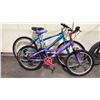 Image 1 : PAIR OF YOUTH MOUNTAIN BIKES TREK & BRAVADO *TREK NEEDS CHAIN*
