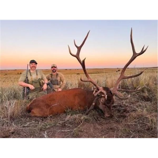 Red Stag Hunt Raffle