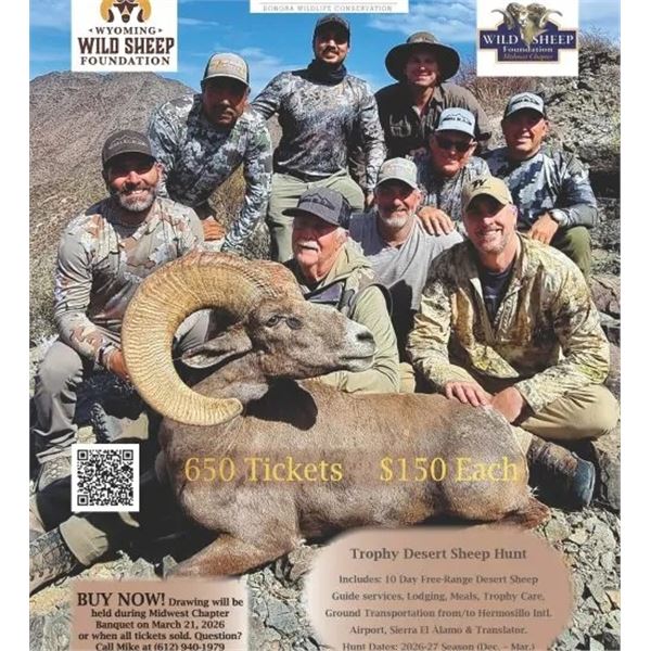 Desert Sheep Drawing for Sierra el Alamo