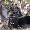 Image 3 : 2026 Wyoming Moose License Raffle