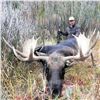 Image 4 : 2026 Wyoming Moose License Raffle