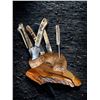 Image 1 : 6 piece Sheep Horn Steak Knife Set with Custom 3d printed Sheep Horn and Juniper Stand.