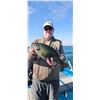 Image 4 : 2 Day Guided Fishing for 2 on Fort Peck Lake
