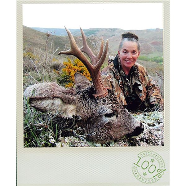 European bronze Medal Roe Deer Hunt for 1 in 2026 or 2027 in Spain