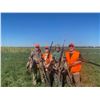 Image 1 : 2Day/2 Person Pheasant Hunt with Pheasant City Lodge in SD