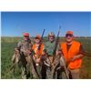 Image 3 : 2Day/2 Person Pheasant Hunt with Pheasant City Lodge in SD