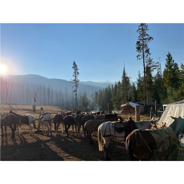 5 Day Ladies/Family Pack Trip with Lost Creek Oufitters in 2027/2028 for up to 6 people