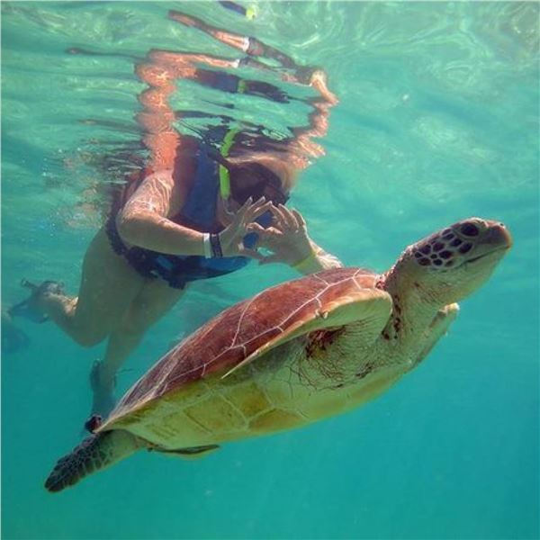 Vidanta Riviera Maya Stay 8 day/7 nights up to 6 adults in Cancun, MX