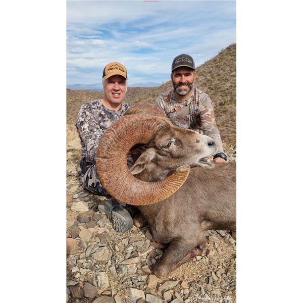 Alcampo 10 day Free Range Trophy Desert Bighorn Sheep Hunt in Sonora Mexico.