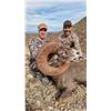 Image 1 : Alcampo 10 day Free Range Trophy Desert Bighorn Sheep Hunt in Sonora Mexico.