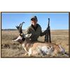 Image 1 : Wyoming 2026 Commissioner's License for Deer, Elk or Pronghorn.