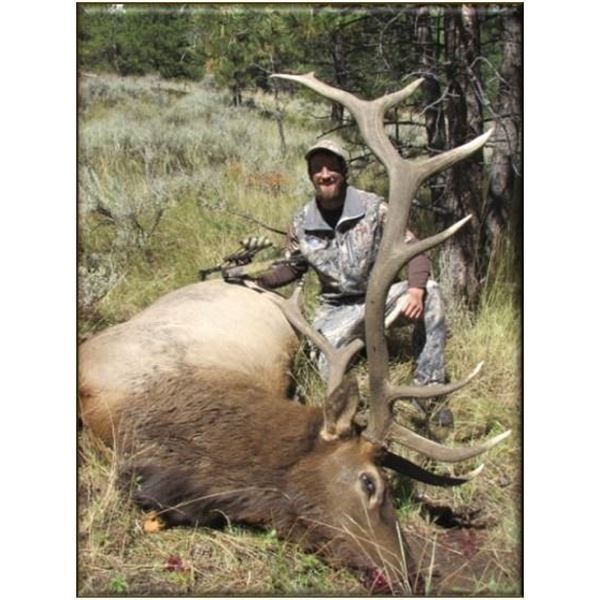 Wyoming 2026 Commissioner's License for Deer, Elk or Pronghorn.