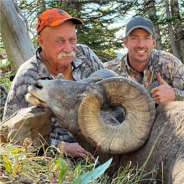 Wyoming Governor's 2026 Bighorn Sheep license