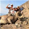 Image 4 : Wyoming Governor's 2026 Bighorn Sheep license
