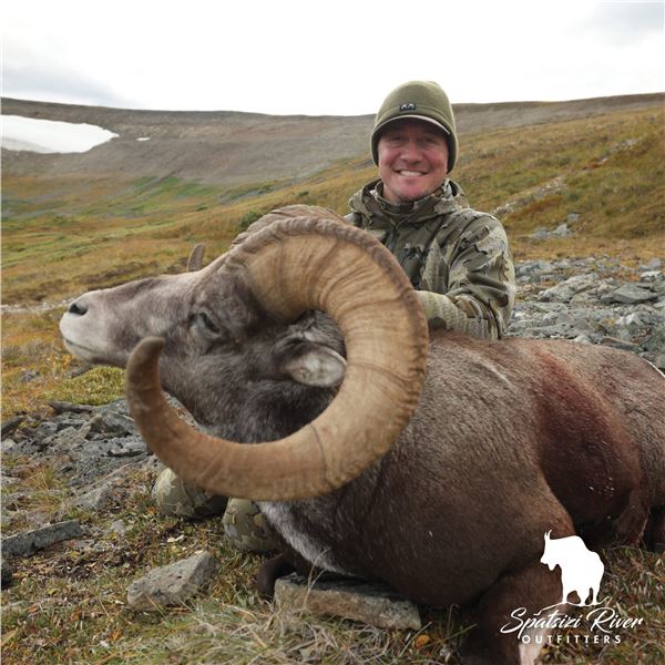 12-Day Stone Sheep Hunt in Northern British Columbia with Spatsizi River Outfitters