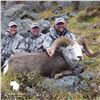Image 2 : 12-Day Stone Sheep Hunt in Northern British Columbia with Spatsizi River Outfitters