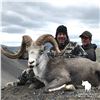 Image 3 : 12-Day Stone Sheep Hunt in Northern British Columbia with Spatsizi River Outfitters