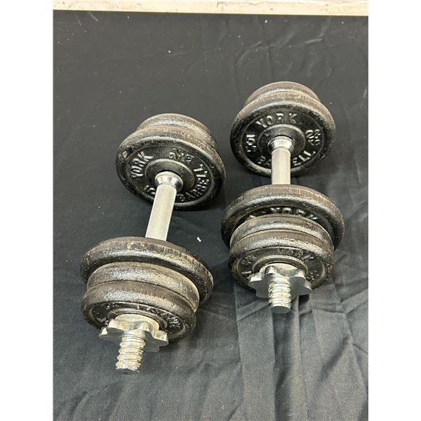 Pair of 20lb Barbells