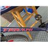 Image 4 : Triumph Laser 15 Speed Mountain Bike
