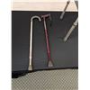 Image 4 : 2 Canes and Folding Walker