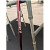 Image 5 : 2 Canes and Folding Walker