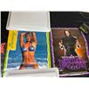 Image 3 : approx 200  WWF Posters 1997 Shawn Michaels, Bret Hart, Undertaker, Sunny NOS