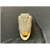 Image 2 : Taxidermy Alligator Head 6.5"