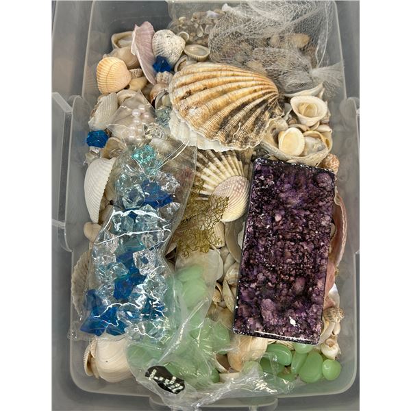 Container of Sea Shells