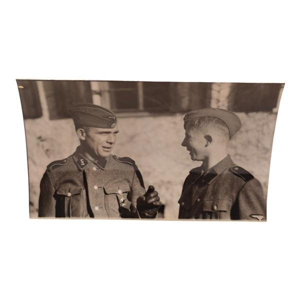Unpublished Dutch Waffen SS Volunteer Legion - Graz Training Center 1942 Photograph