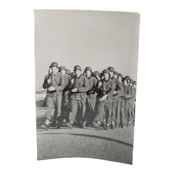 Unpublished Dutch Waffen SS Volunteer Legion - Graz Training Center 1942 Photograph