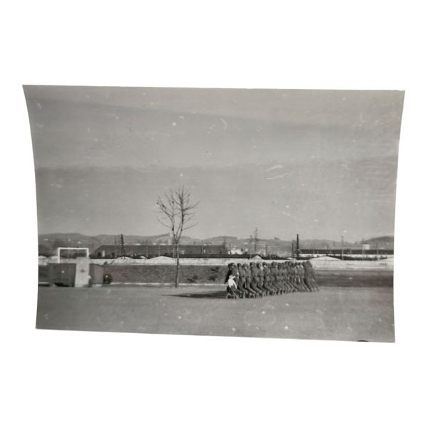 Unpublished Dutch Waffen SS Volunteer Legion - Graz Training Center 1942 Photograph